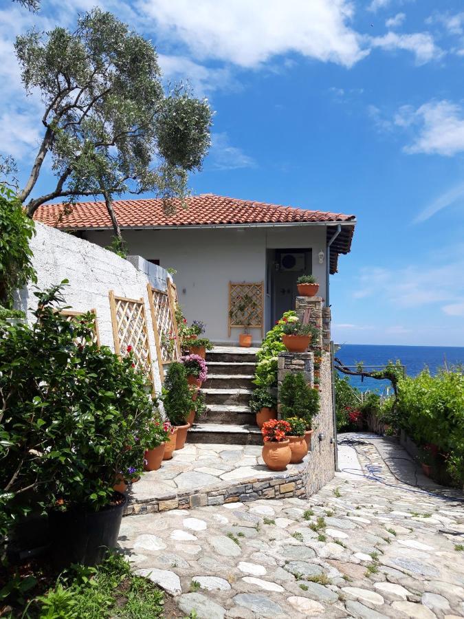 Ammos Papanero Lejlighed Agios Ioannis  Eksteriør billede